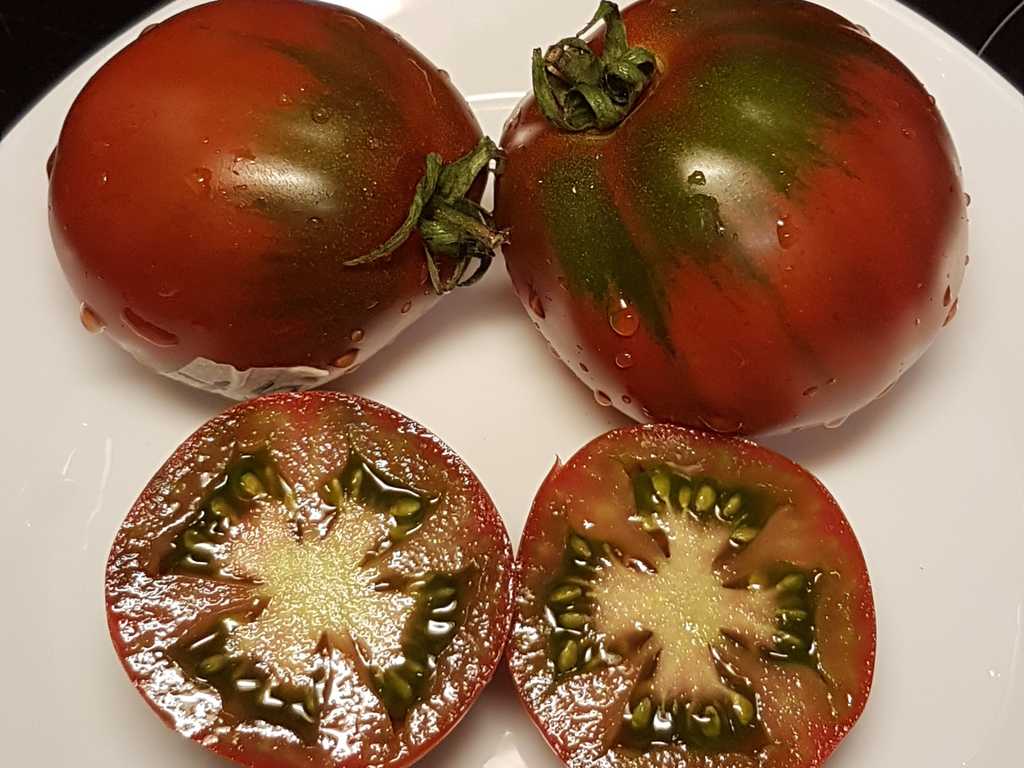 Emerald Truffle brun